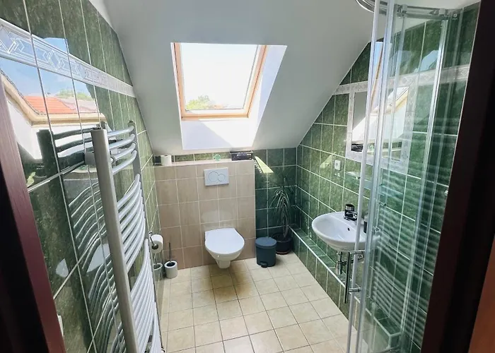Restaurace - Bavorsky Dvur 3* Sezemice